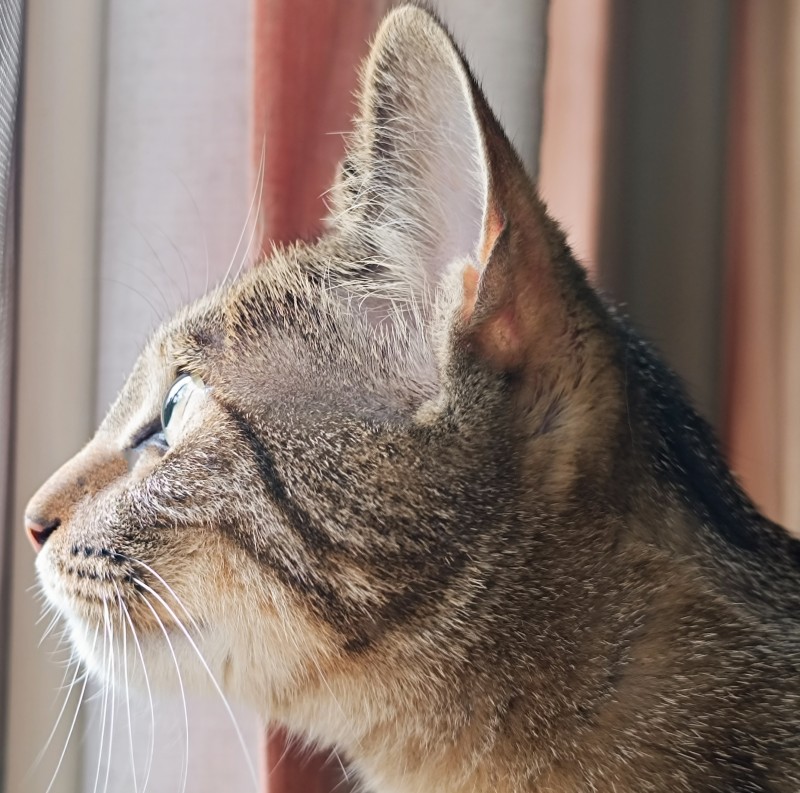 专注+四川成渝高速公路股份有限公司成渝分公司资阳管理处+朱志强