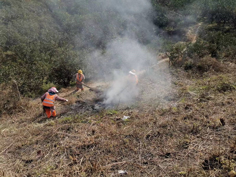 1.31+李林+资阳管理处强化绿化保洁单位从业人员应急处置能力提升