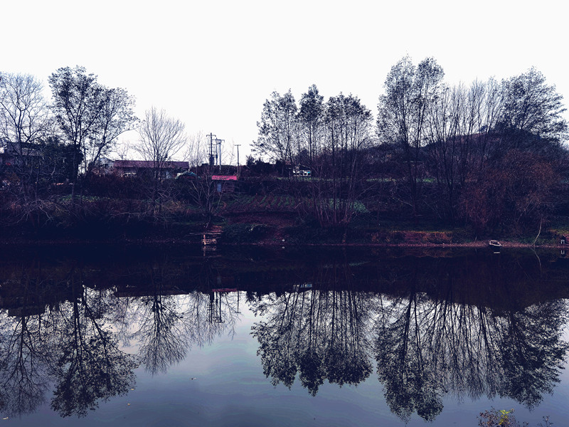 739、宛若画中游++四川成渝高速公路股份有限公司成渝分公司资阳管理处+邹丽