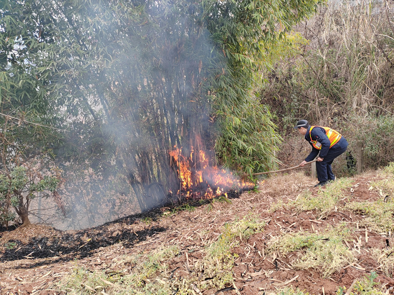 成都管理处路产管护及时处置路边明火