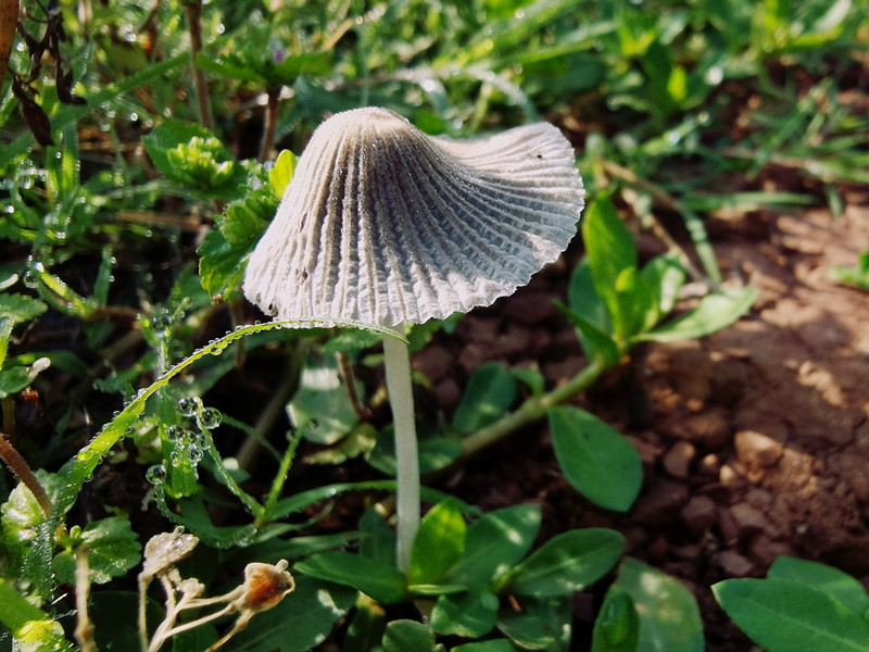 37、翘首以盼+四川成渝高速公路股份有限公司成渝分公司资阳管理处+邹丽_副本