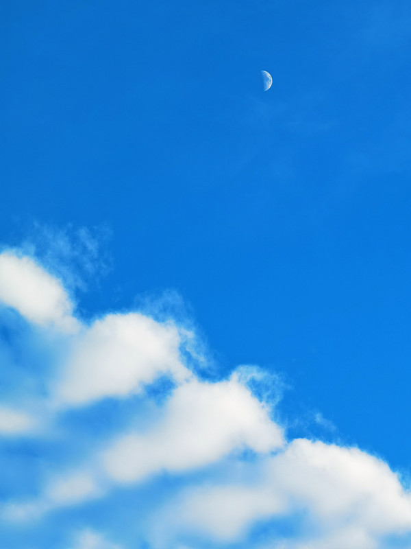 78、半个月亮爬上来+四川成渝高速公路股份有限公司成渝分公司资阳管理处+贺晓_副本