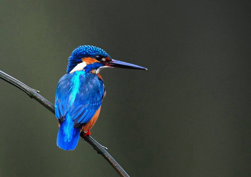 81、眺望+四川成渝高速公路股份有限公司成渝分公司资阳管理处+刘成举_副本