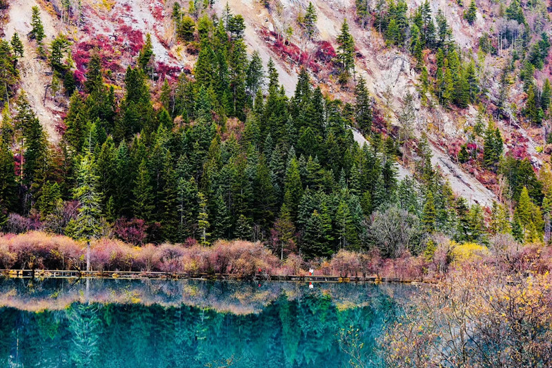 五彩缤纷——四川成渝高速公路股份有限公司成渝分公司 段霞_副本