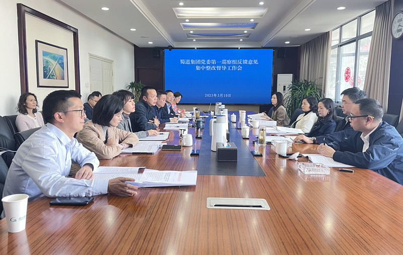 成渝公司到成渝分公司开展蜀道集团党委巡察反馈意见整改督导