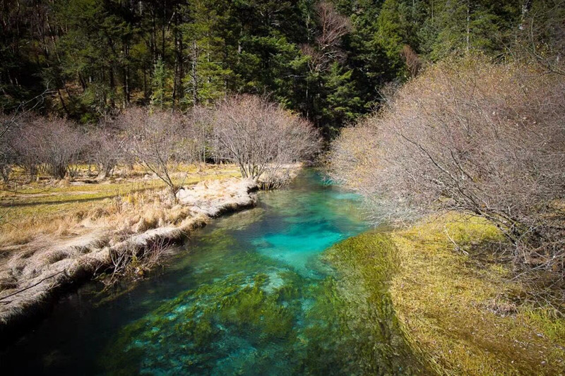 碧水蓝天——四川成渝高速公路股份有限公司成渝分公司高华庆_副本