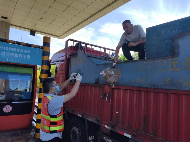 成渝高速内江收费站进一步强化绿色通道管理