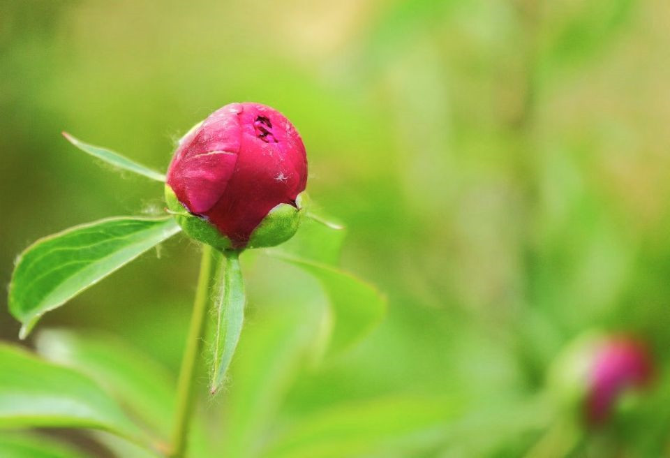 春—四川成渝高速公路股份有限公司成渝分公司卢红兵_副本