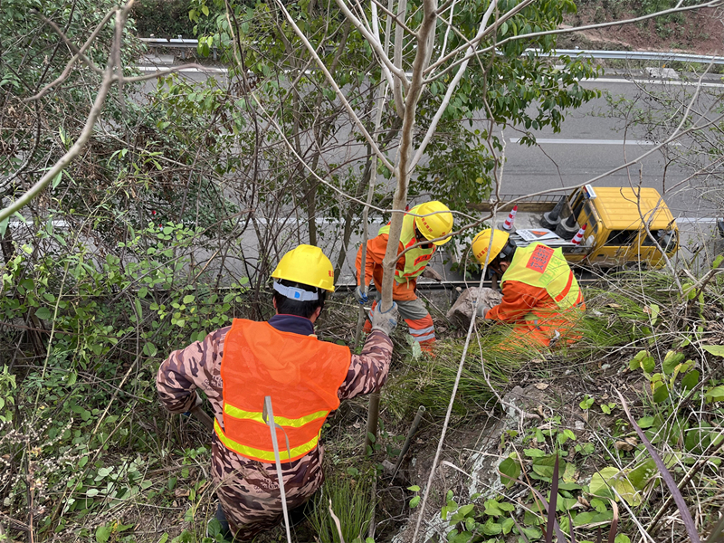 2023.3.6+成渝分公司+内江管理处完成边坡落石清理工作+秦英杰