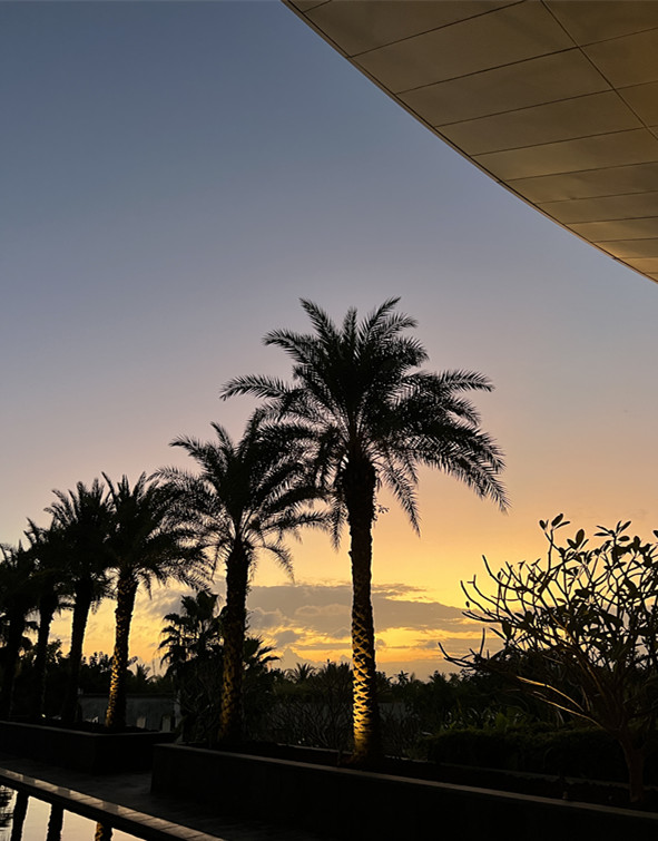 黄昏——四川成渝高速公路股份有限公司成渝分公司王琴_副本