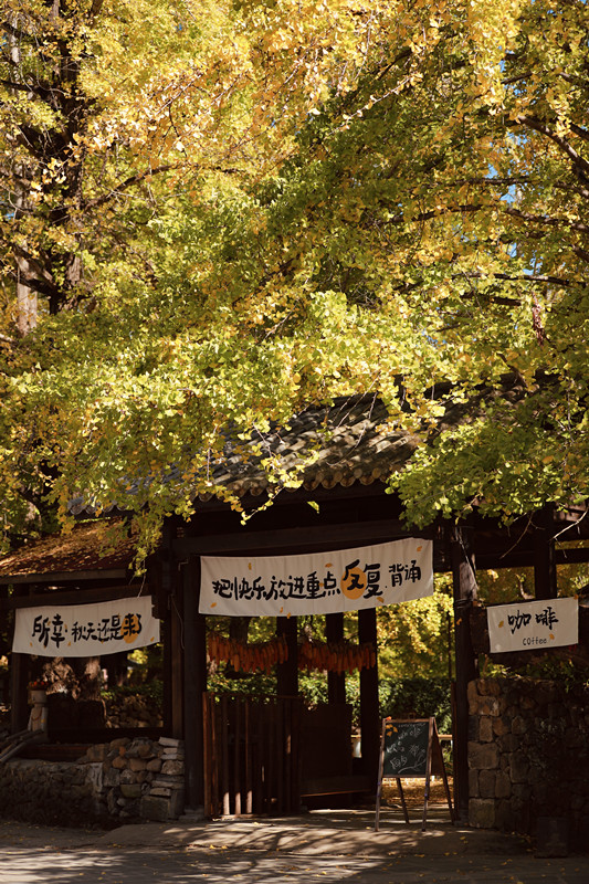 无忧花开——四川成渝高速公路股份有限公司成渝分公司 张剑宏_副本