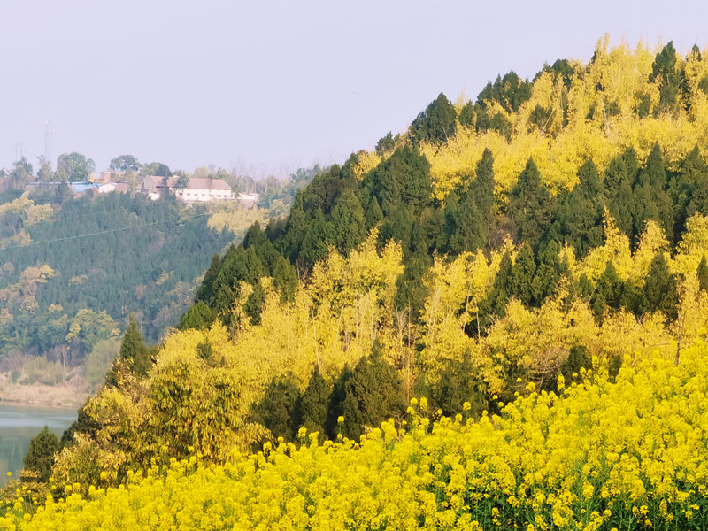 193、大好河山+四川成渝高速公路股份有限公司成渝分公司资阳管理处+邹丽_副本