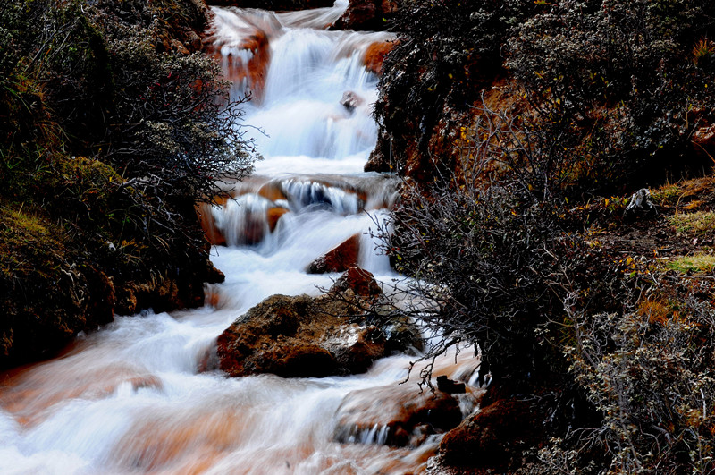194、高山流水+四川成渝高速公路股份有限公司成渝分公司资阳管理处+王志斌_副本