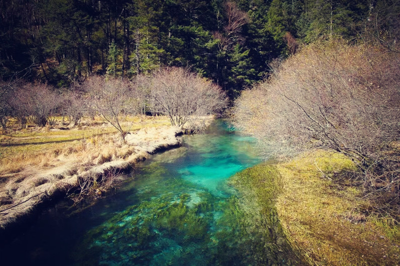 溪流——四川成渝高速公路股份有限公司成渝分公司崔蓉_副本