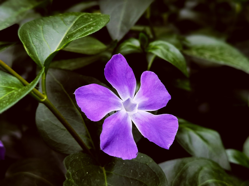 282、紫气东来+四川成渝高速公路股份有限公司成渝分公司资阳管理处+邹丽_副本