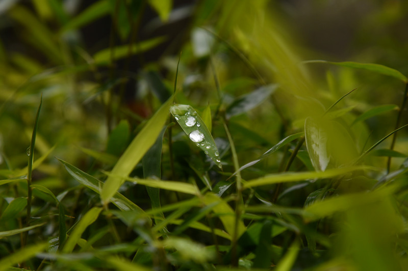 283、晨露+四川成渝高速公路股份有限公司成渝分公司资阳管理处+王燕_副本