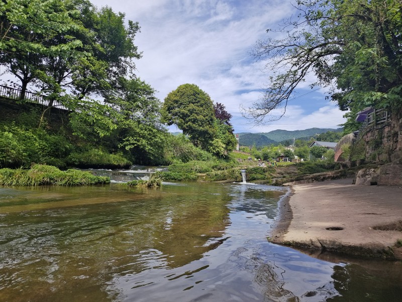水墨上里+成都管理处+魏民利