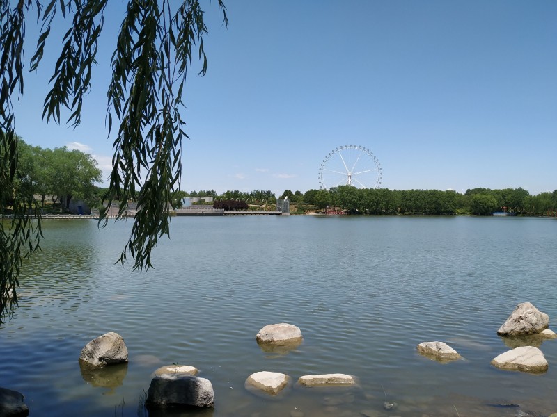 公园一角+成都管理处+熊维平