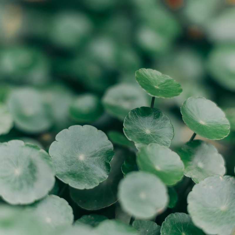 向阳而生+成都管理处+邓玫