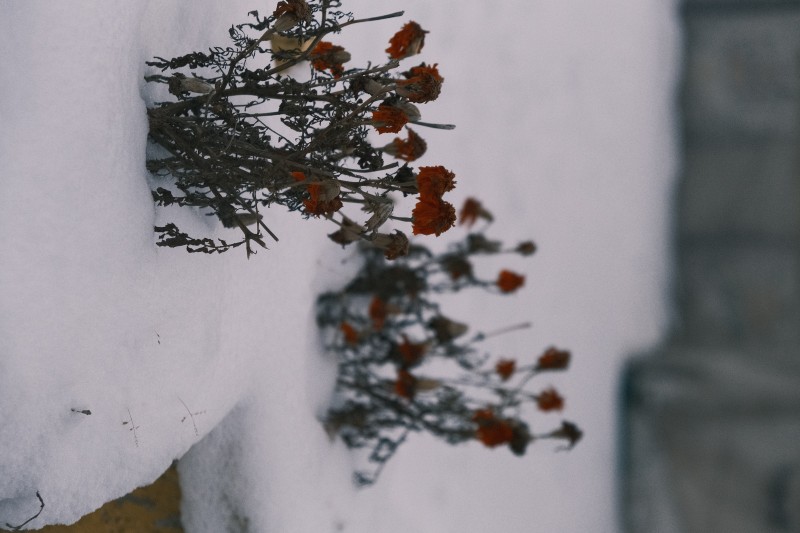 平凡中的奇迹+四川成渝高速公路股份有限公司成渝分公司资阳管理处+卿建睿