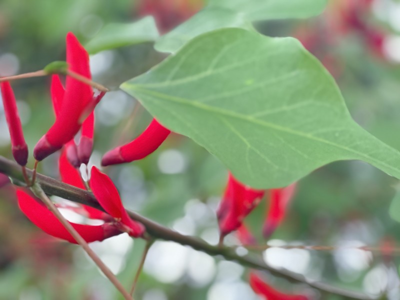 辣椒似火——四川成渝高速公路股份有限公司成渝分公司 孙东华