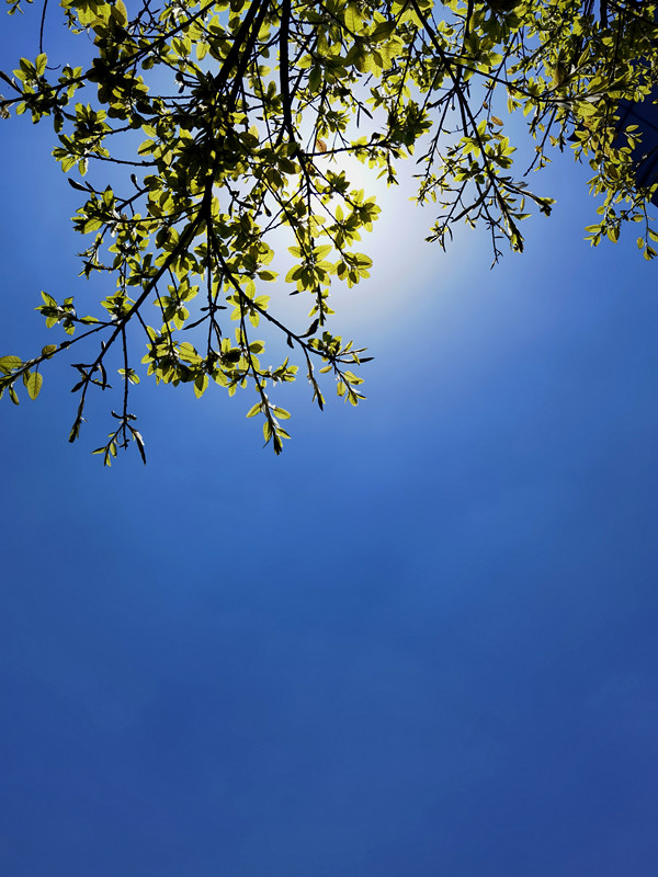 耀眼的你+四川成渝高速公路股份有限公司成渝分公司资阳管理处+邹丽