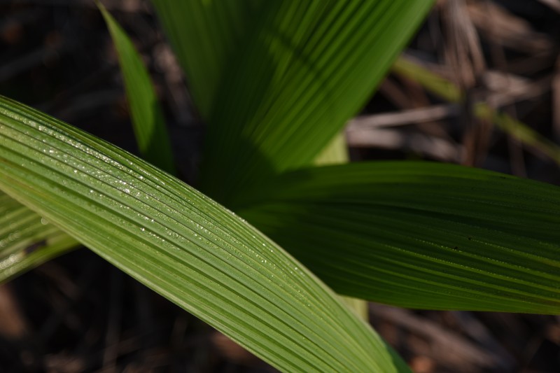 晨露+四川成渝高速公路股份有限公司成渝分公司资阳管理处+王燕