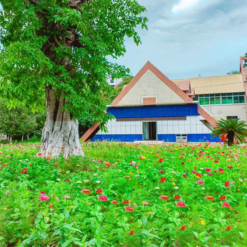 鲜花点缀的家园+四川成渝高速公路股份有限公司成渝分公司资阳管理处+贺晓