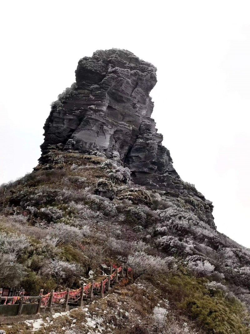 梵净山+成渝分成都处+王良美