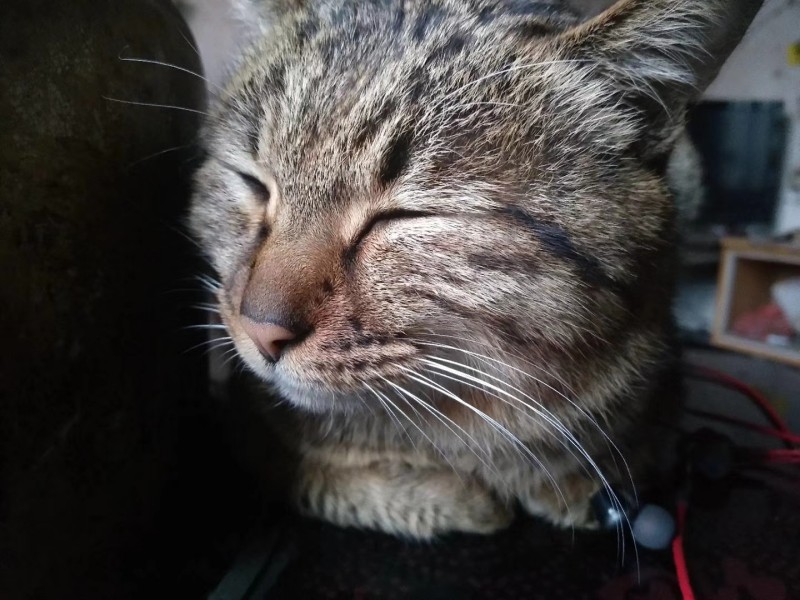 打盹+成都管理处+陈鑫