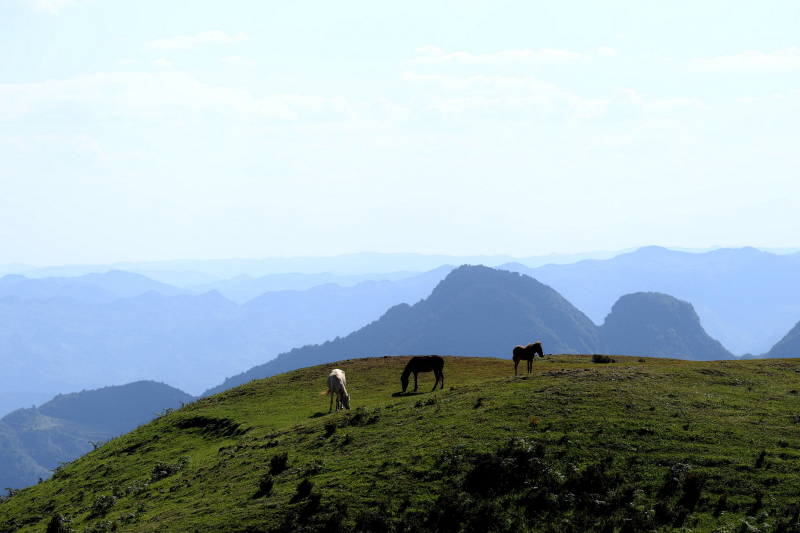高山峻岭+成都管理处+贺雯