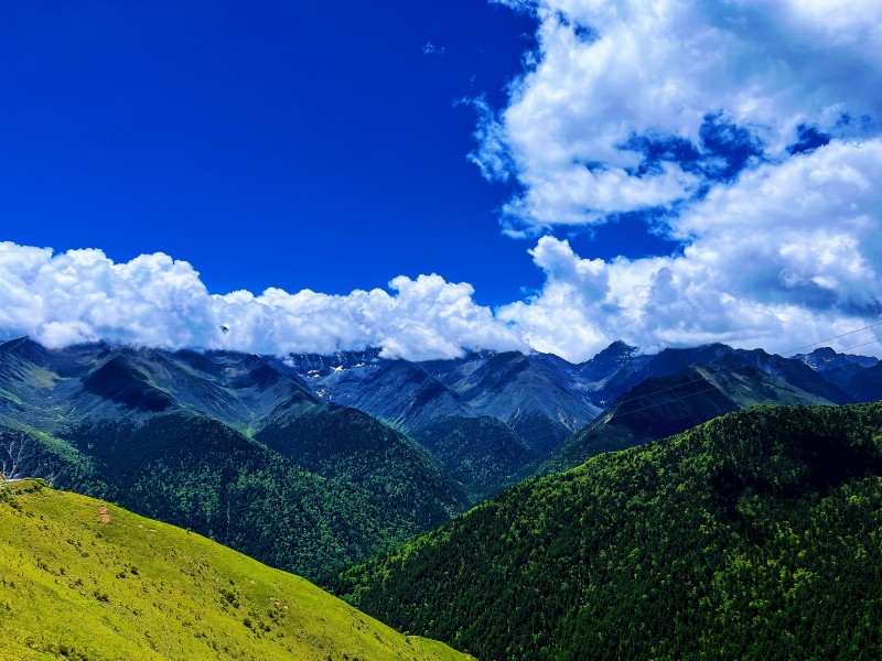 层峦叠嶂+成都管理处+林琳