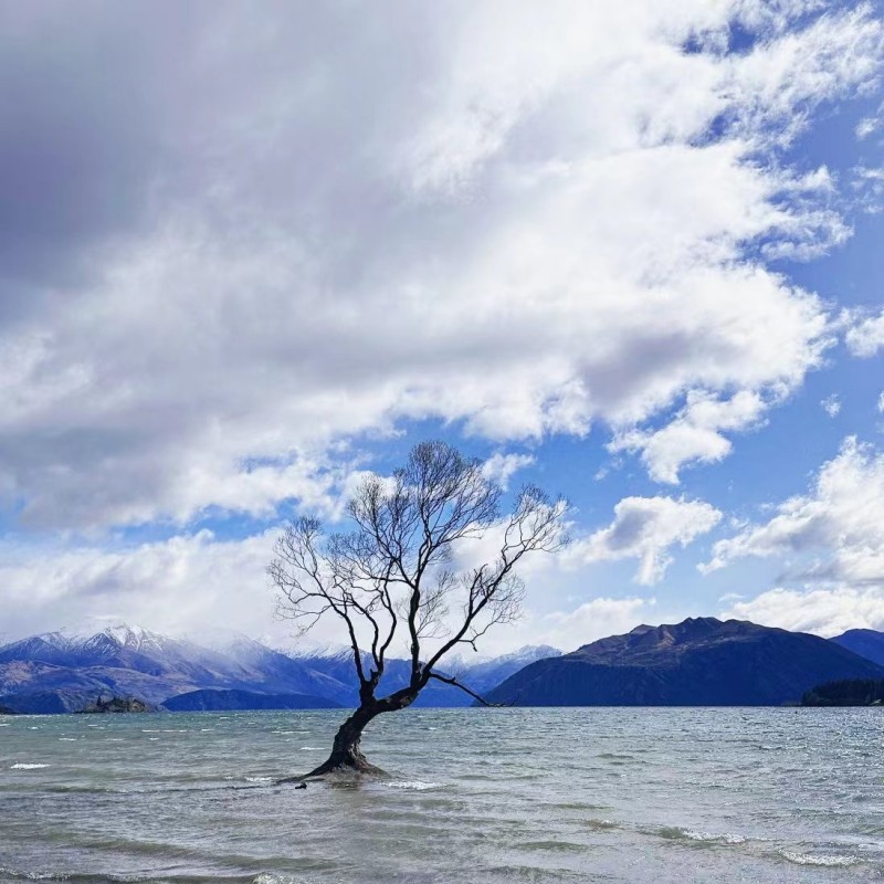 独立不群+成都管理处+邓咏