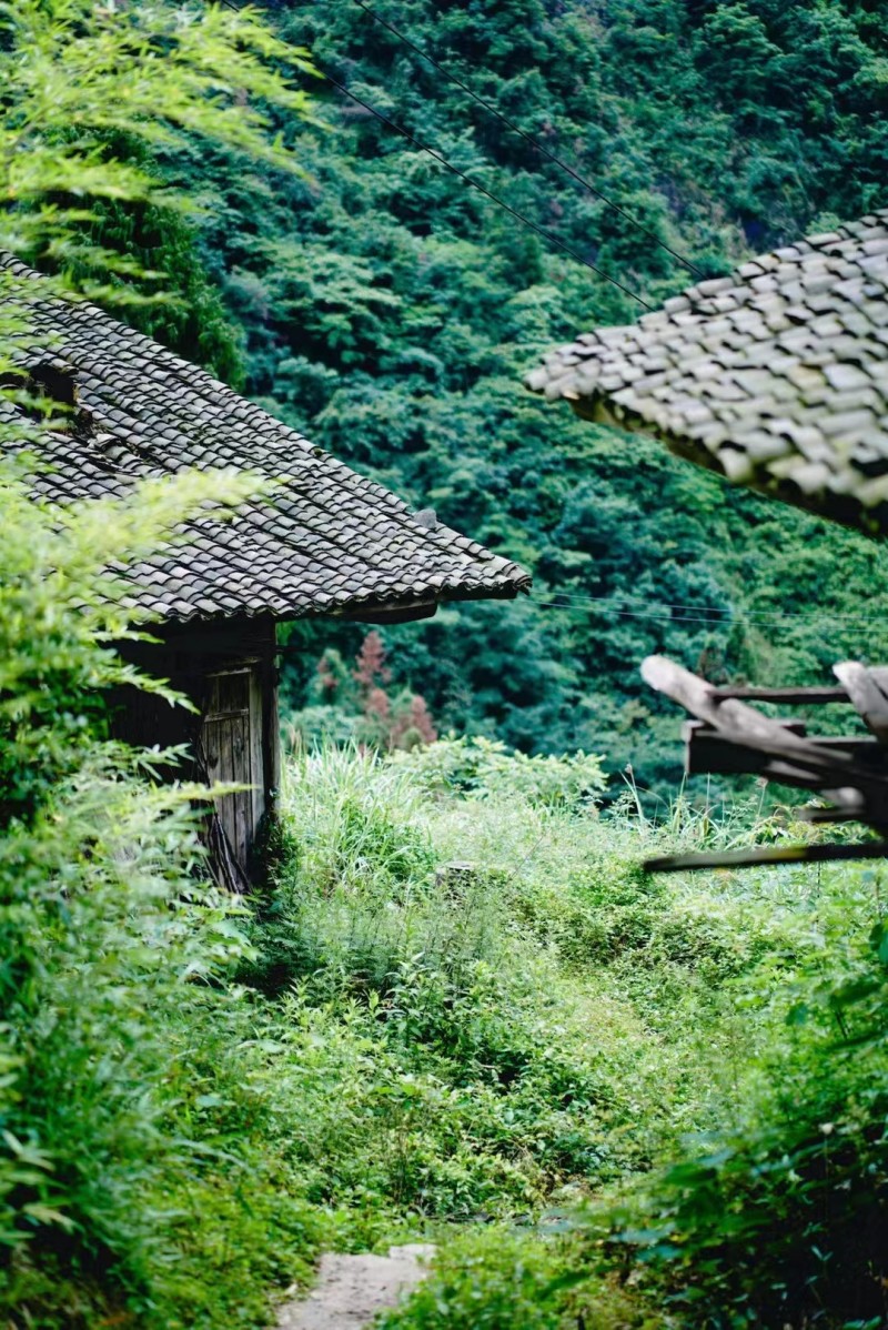 有处人家+成都管理处+唐诗瑶