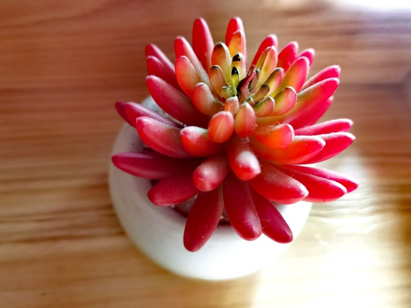 温婉如玉+四川成渝高速公路股份有限公司成渝分公司资阳管理处+邹丽