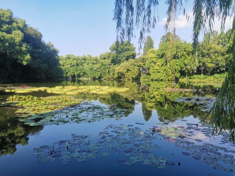 小瀛洲岛+四川成渝高速公路股份有限公司成渝分公司资阳管理处+周知