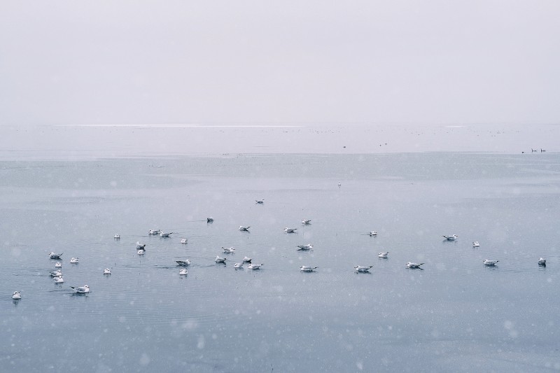 冰上繁星+成都管理处+吴云