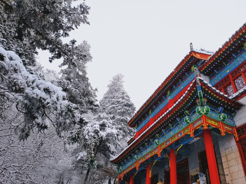 白雪镶红墙+四川成渝高速公路股份有限公司成渝分公司资阳管理处+孙沛
