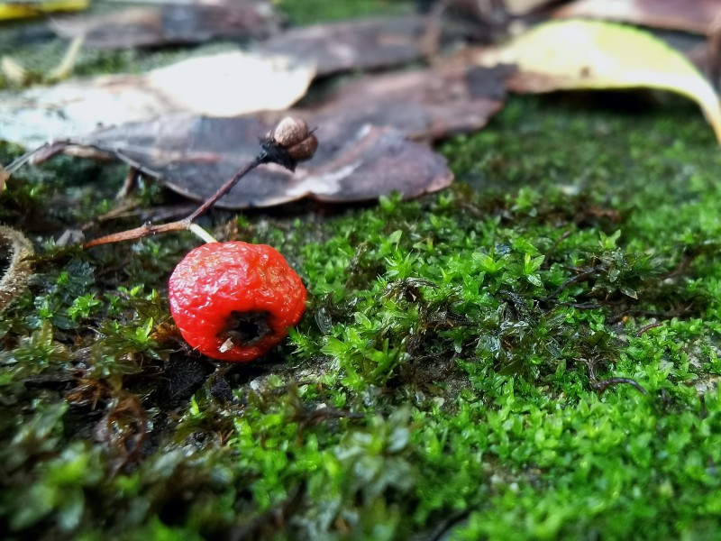 果然如此+四川成渝高速公路股份有限公司成渝分公司资阳管理处+邹丽