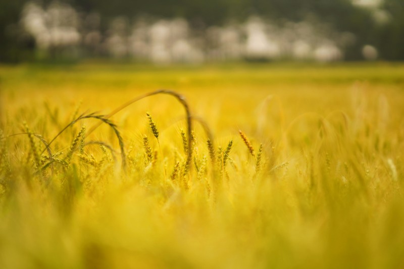 金色希望+四川成渝高速公路股份有限公司成渝分公司资阳管理处+贺晓