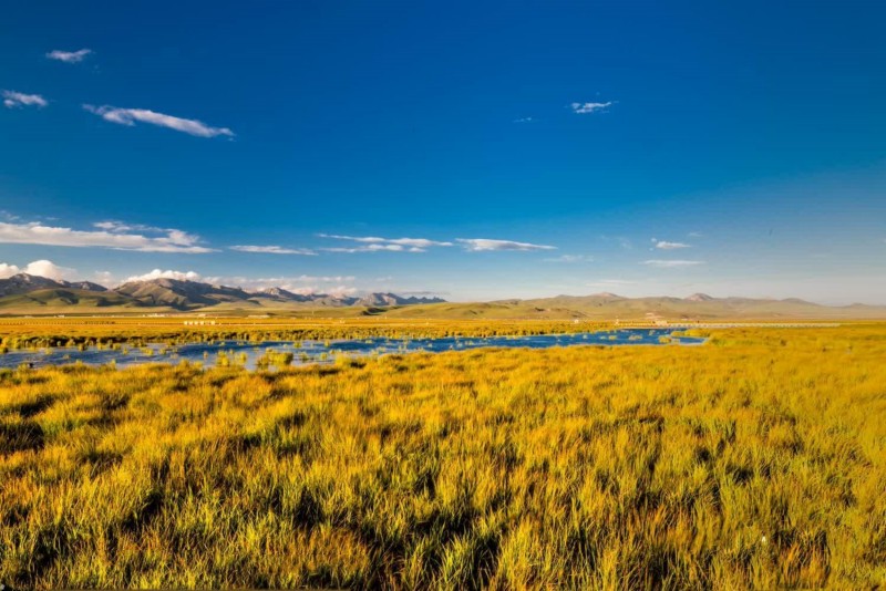 草海+成都管理处+熊维平