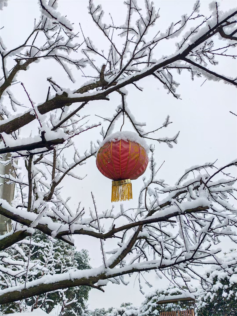 初雪+成都管理处+蔡勇华