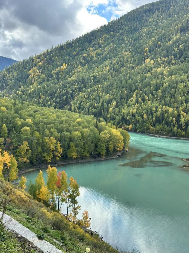 秋色的美+四川成渝高速公路股份有限公司成渝分公司资阳管理处+杨素华