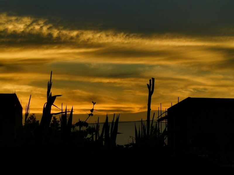 摇曳生姿+四川成渝高速公路股份有限公司成渝分公司资阳管理处+魏丽娟