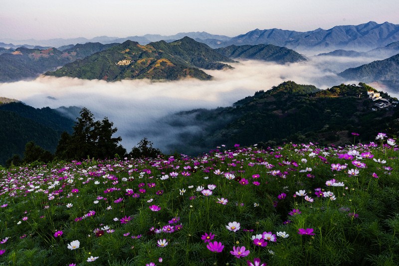 云海繁花+成都管理处+王永斌