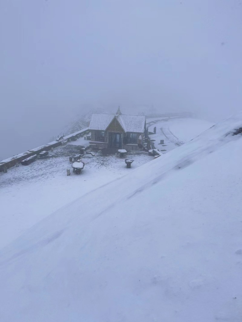 白雪皑皑+四川成渝高速公路股份有限公司成渝分公司资阳管理处+杨素华