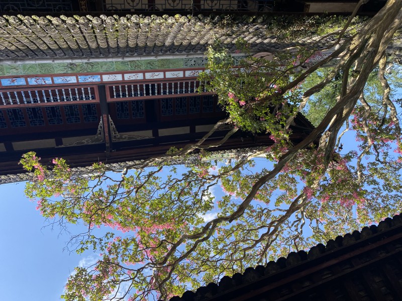 阁楼一角+四川成渝高速公路股份有限公司成渝分公司资阳管理处+李林