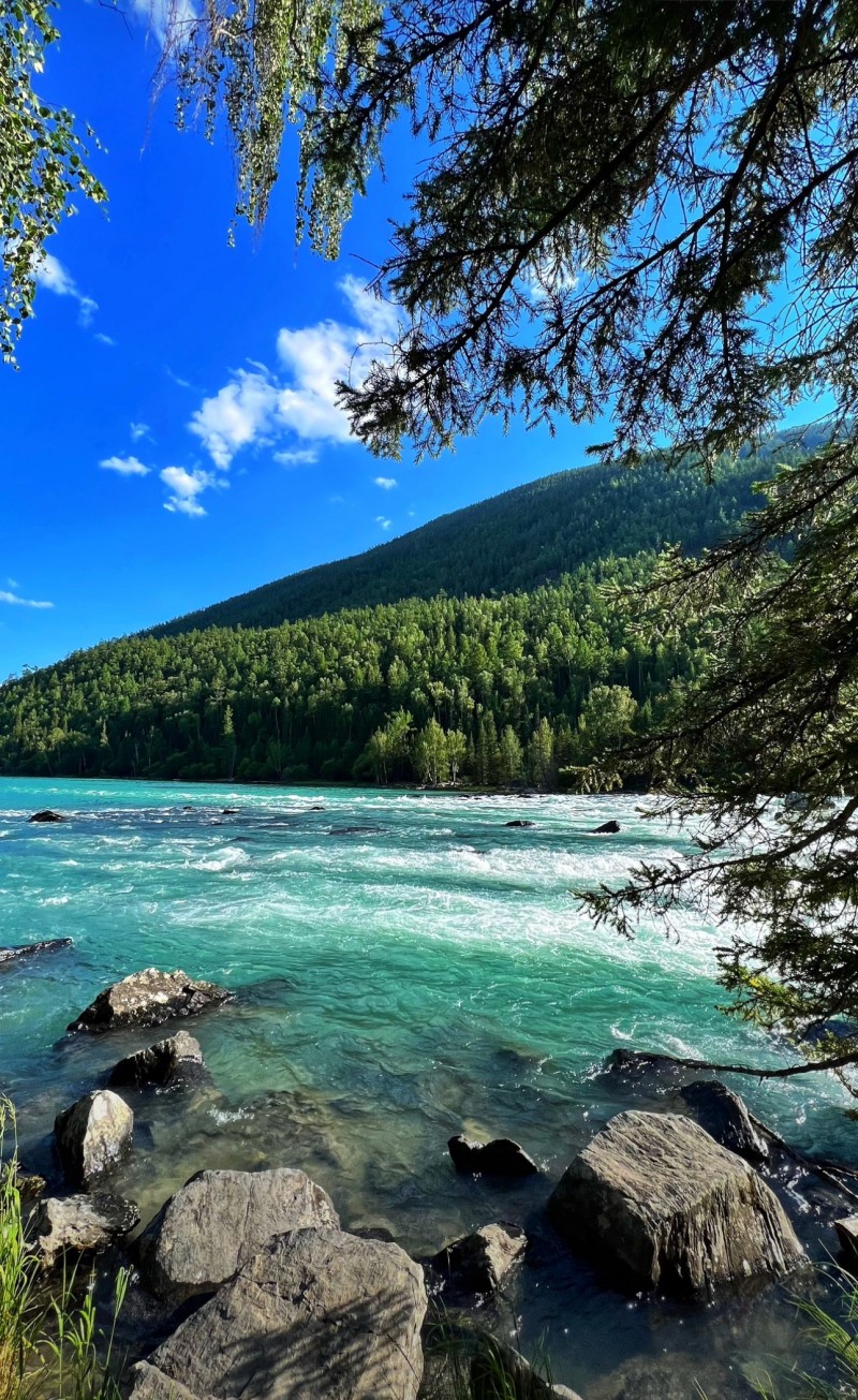 绿水青山+四川成渝高速公路股份有限公司成渝分公司资阳管理处+王谢纯