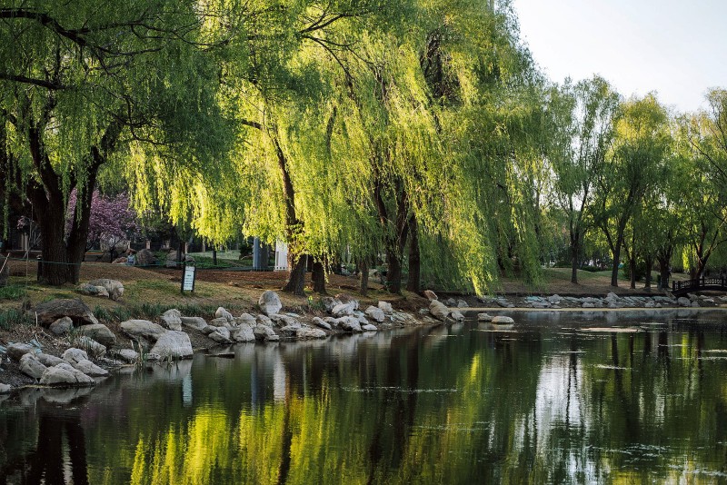 湿地公园+成都管理处+李云建