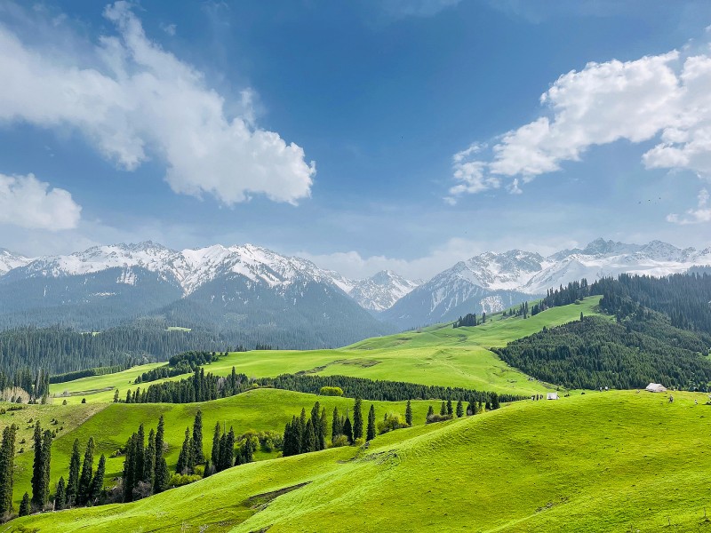 那拉提草原+成都管理处+吴云